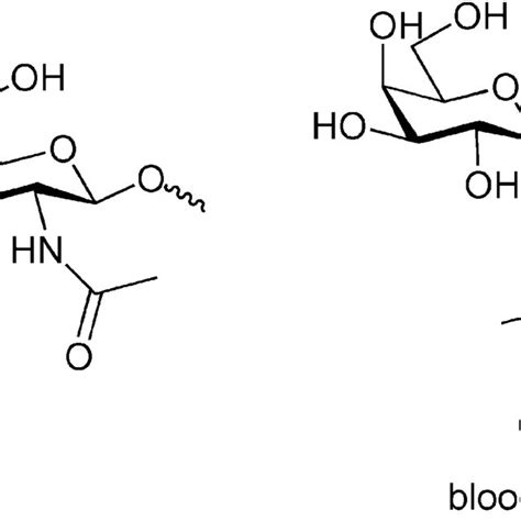 2 Structure Of N Acetylneuraminic Sialic Acid Download Scientific