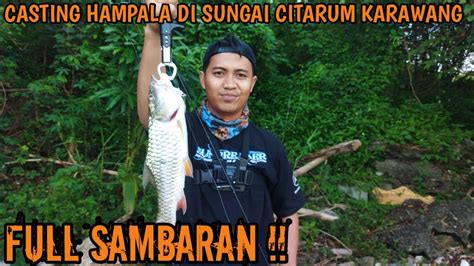 Full Sambaran Casting Hampala Disungai Citarum Catch And Release