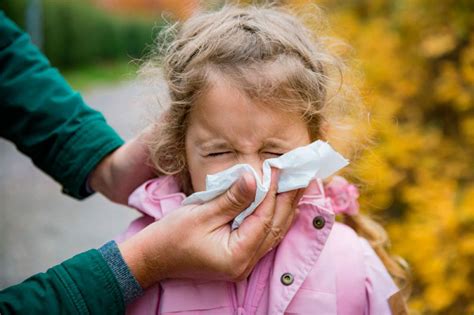 Reportajes ¿cómo Prevenir Las Enfermedades Del Otoño En Los Niños