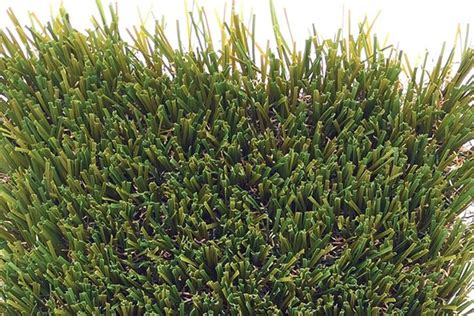 Artificial Turf Landscaping Bc Brick