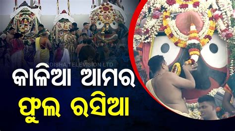 Puri Snana Purnima Different Varieties Of Flowers Offered To Lord