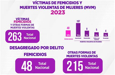 Datos Sobre Muertes Violentas De Mujeres Lo Dijeron