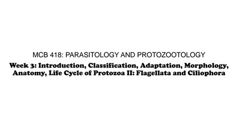 Solution Introduction Classification Adaptation Morphology Anatomy