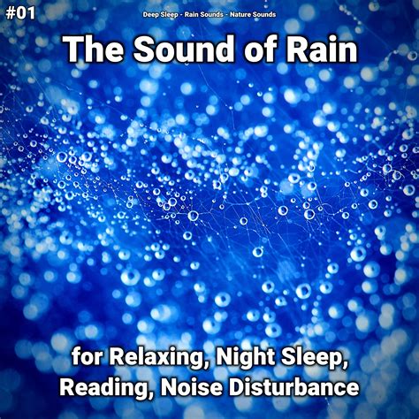 Rain Deep Sleep Rain Sounds Nature Sounds 单曲 网易云音乐