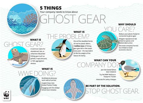 Ghost Gear Wwf Seafood Sustainability