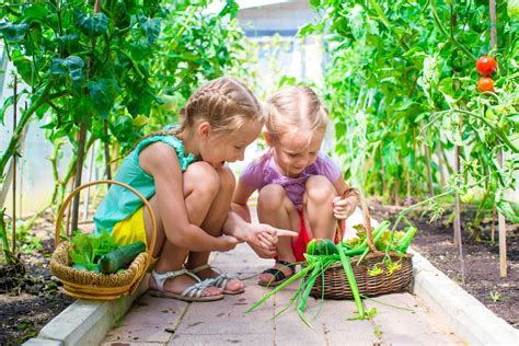 Les Jardins Communautaires Ou Collectifs Quels Avantages Et