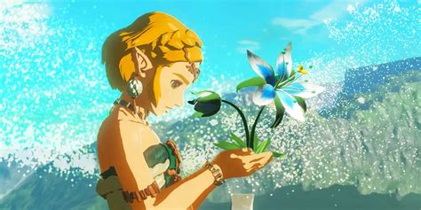 Zelda: BOTW & TOTK’s Silent Princess Flower Has A Heartwarming Meaning