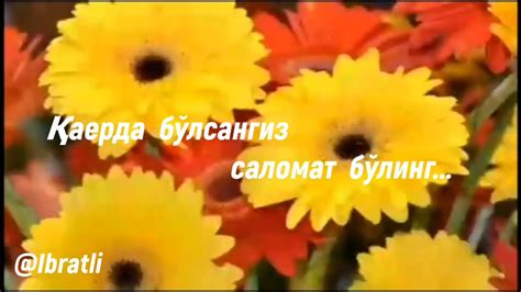 Тугилган кунимга. Тутинган синглим Нигорахон Рахмонова тилаклари ...