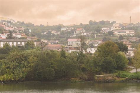 Douro Valley in Portugal stock photo. Image of lisbon - 260456354