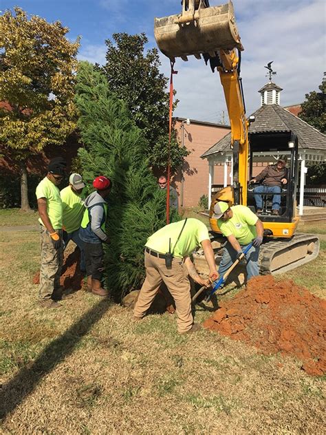 Leeds Downtown Christmas Tree Has Been Planted - Leeds Area Chamber of ...