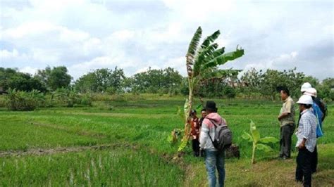 Pemkab Blora Bangun Dua Embung Baru Tahun Ini Embung Purwosari Dan