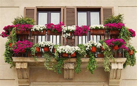 Hanging Balcony Plants And Blooming Flowers For A Spectacular Exterior