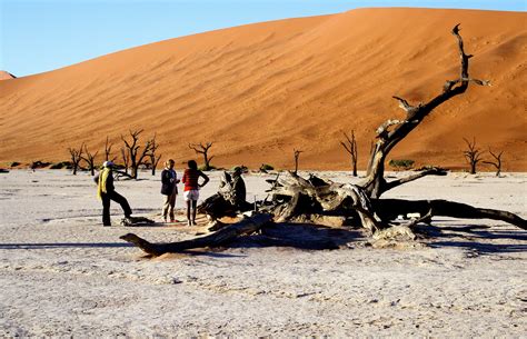 Arid Climate Shadow Tree Landscape Outdoors Day Orange Sky K