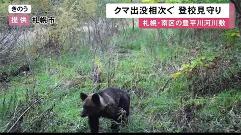 クマの出没 3日連続 続く札幌市南区の石山地区 近くに住宅街 設置カメラが クマ とらえる 北海道ニュースuhb Timeline Yahoo Japan