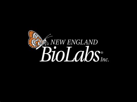 Cloud Call Center Customer Service How New England Biolabs Enhanced