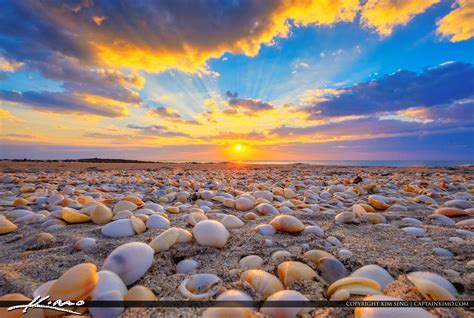 Ocean Reef Park Sunrise With Seashells Hdr Photography By Captain Kimo