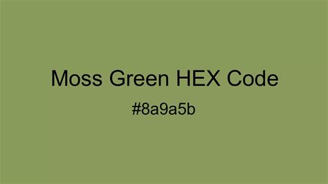 Moss Green Color Hex And Rgb Values