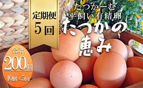 【楽天市場】【ふるさと納税】平飼い有精卵『たつかの恵み』40個× 5ヶ月連続お届け 【定期便・卵・有精卵・タマゴ・たまご・5月・5回】：北海道壮瞥町