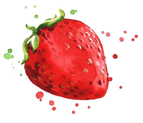 Ilustra O Em Aquarela De Morango Vermelho Maduro Fresco Vetor Premium