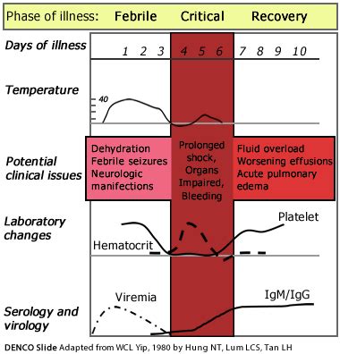 Fever History Clinical Issues