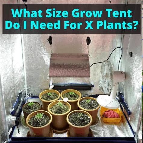 What Size Grow Tent Do I Need For X Plants