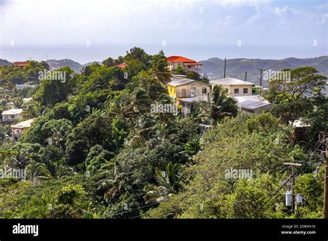 St Georges Grenada West Indies Creole Houses At The Top Of The