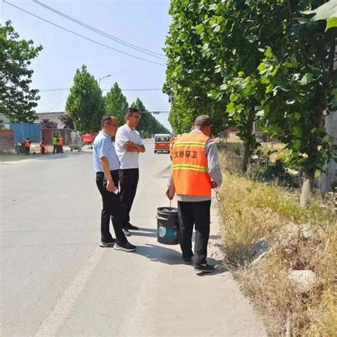 【人居环境整治】义桥镇深入开展路域环境整治行动道路杨尊房茂