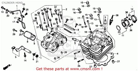 Honda Fourtrax Parts Diagram Rubber Honda Trx Fw Fourt