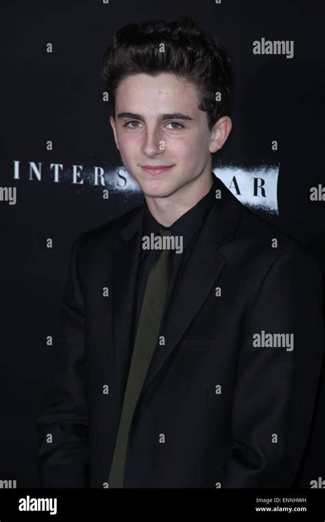 Interstellar Timothee Chalamet High Resolution Stock Photography And