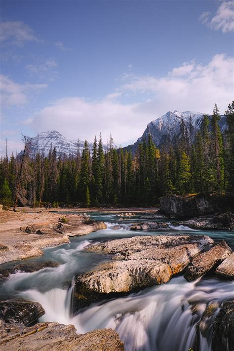 Stones Stream Trees Mountains Hd Phone Wallpaper Peakpx