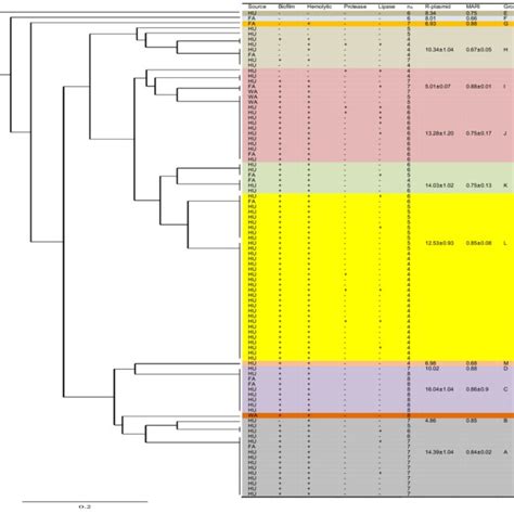 Analysis Of Virulent Factor Production Encoded R Plasmid And Mari