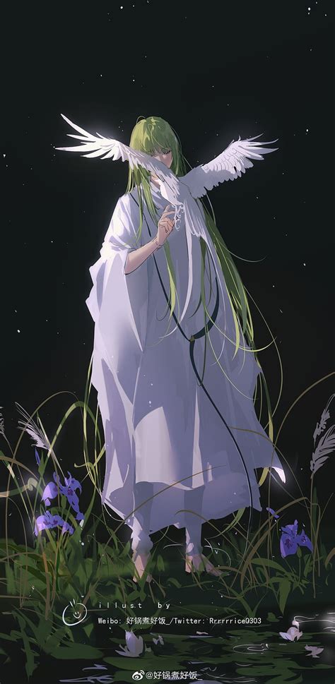 Lancer Long Green Hair Bird Fate Grand Order Fate Strange Fake Anime Hd Phone Wallpaper