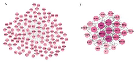 A Protein Protein Interaction Ppi Network B Ppi Core Network