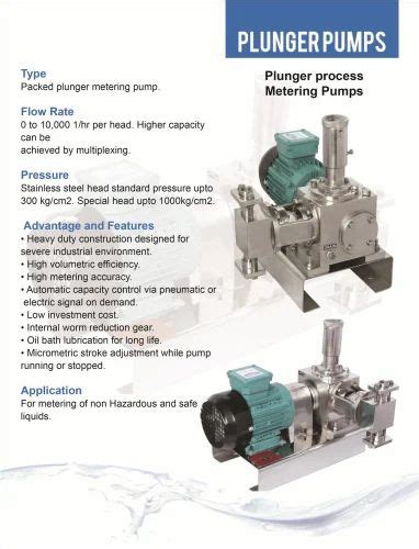 Mtr Ss Plunger Metering Pump For Industrial Model Name