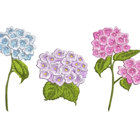 3 Sizes Hydrangea Machine Embroidery Design Etsy Australia