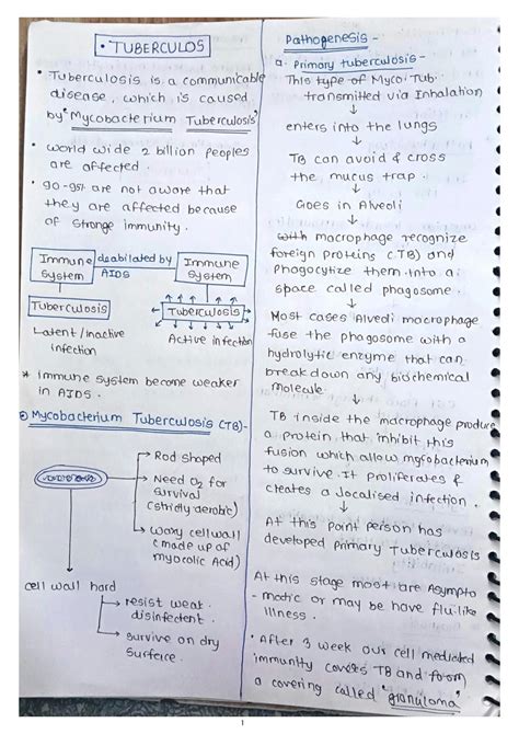 SOLUTION Pathophysiology Of Tuberculosis Studypool