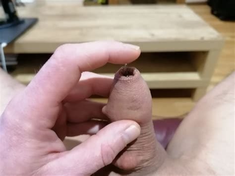 Introducing Barnabas The Rasp Nude Pics XHamster