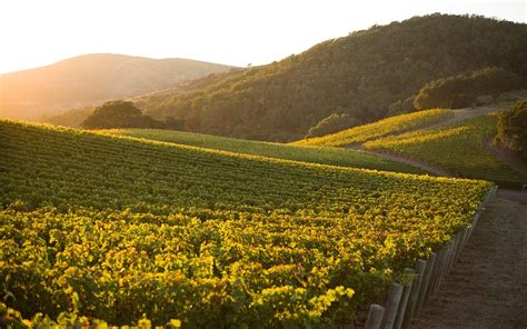 THE 15 BEST Things to Do in Napa - 2021 (with Photos) - Tripadvisor