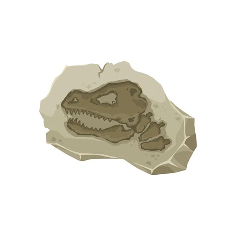 Premium Vector Dinosaur Fossil Tyrannosaurus Dino Skull Imprint