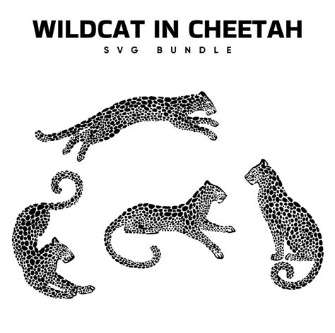 Wildcat In Cheetah Svg Masterbundles