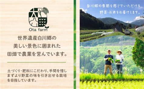 先行予約 令和6年産 こしひかり 定期便 5kg 12回 事前予約 白川郷 戸ヶ野のこしひかりプレミアム 5キロ 12か月 新米 常温 こめ