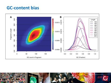 Biases In Rna Seq Data October 15th 2012 Nbic Advanced Rna Seq Course Ppt Download