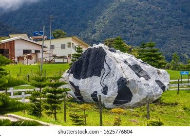 9 Hundred Cattle Farm Sabah Royalty Free Images Stock Photos