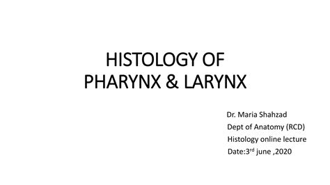 Histology of pharynx & larynx | PPT | Free Download