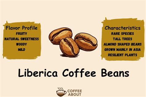 Liberica Coffee Beans | (All You Wanna Know!)