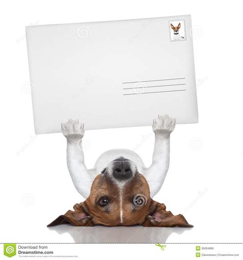 Perro Del Correo Foto De Archivo Imagen De Perro Canino 35004866