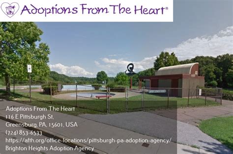 Things To Do In Brighton Heights PA Adoptions From The Heart