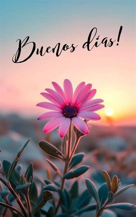 Pin by Consuelo Rodríguez Avilés on Buenos días in 2024 Good morning