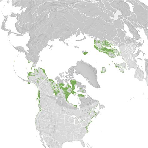 Red-throated Loon - Range map: Pre-breeding migration - eBird Status and Trends