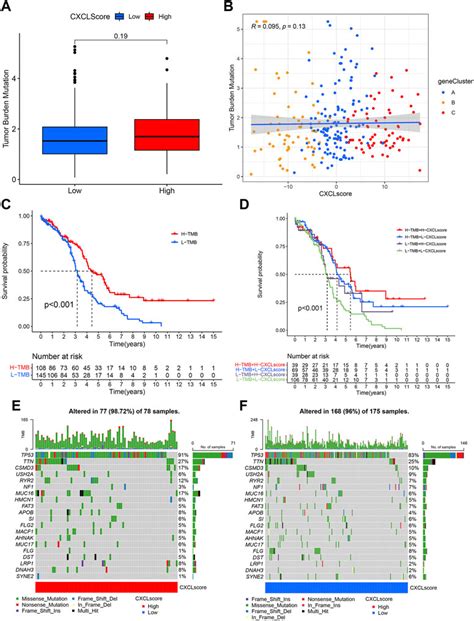 Frontiers Comprehensive Bioinformatic Analysis Constructs A Cxcl